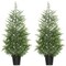 Edge Collections - 4' - Green - Lifelike Norfolk Pine Christmas Trees for Indoor Festivities - 2 Pieces